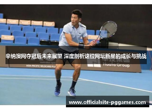 辛纳澳网夺冠后未来展望 深度剖析这位网坛新星的成长与挑战
